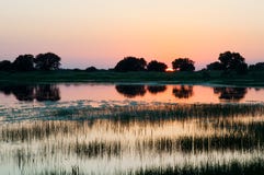 Coucher du soleil ou lever de soleil au lac, avec des arbres et la réflexion d'herbe Photographie stock libre de droits Coucher du soleil ou lever de soleil au lac, avec des arbres et la réflexion d'herbe Photographie stock libre de droits