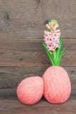 Couleur de concept de tendance du corail vivant de l'année 2019 photo stock Couleur de concept de tendance du corail vivant de l'année 2019 photo stock