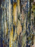 Couleur noire et blanche de vieille texture en bois images libres de droits Couleur noire et blanche de vieille texture en bois images libres de droits