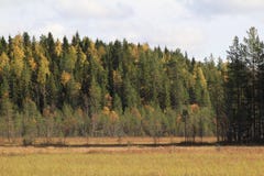 Couleurs de l'automne Forêt éloignée en soleil images libres de droits Couleurs de l'automne Forêt éloignée en soleil images libres de droits