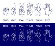 Counting hands set royalty free illustration Counting hands set royalty free illustration
