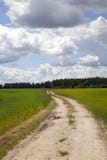 Country Dirt Road In The Field Stock Image