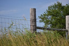 country-fence-row-surrounded-thick-vegetation-43786797.jpg