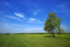 Country Landscape Stock Images