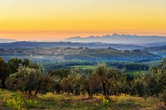 Countryside landscape, Vineyard in Chianti region at sunset. Tuscany. Italy royalty free stock images Countryside landscape, Vineyard in Chianti region at sunset. Tuscany. Italy royalty free stock images