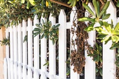 County style white wooden fence. White fence in perspective stock photos County style white wooden fence. White fence in perspective stock photos