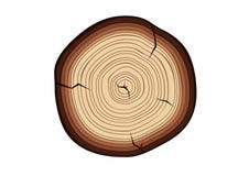Coupe en bois illustration de vecteur Coupe en bois illustration de vecteur