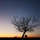 Couple Silhouette In The Sunset Light Royalty Free Stock Image