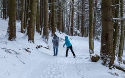 Couple snowball fighting in the woods, Transylvania, Romania royalty free stock photo Couple snowball fighting in the woods, Transylvania, Romania royalty free stock photo