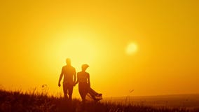 Couples affectueux - jeune homme et belle fille marchant au pré de coucher du soleil - silhouette banque de vidéos Couples affectueux - jeune homme et belle fille marchant au pré de coucher du soleil - silhouette banque de vidéos