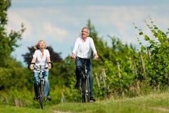 Couples aînés heureux faisant un cycle à l'extérieur en été images stock Couples aînés heureux faisant un cycle à l'extérieur en été images stock