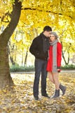 Couples d'amour appréciant l'automne en stationnement images libres de droits Couples d'amour appréciant l'automne en stationnement images libres de droits
