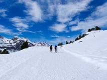 couples des excursionnistes marchant sur des raquettes et des poteaux de bâton sur la neige blanche de l'hiver d'un chemin d'une images libres de droits couples des excursionnistes marchant sur des raquettes et des poteaux de bâton sur la neige blanche de l'hiver d'un chemin d'une images libres de droits