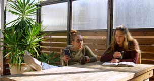 Couples lesbiens discutant au-dessus d'un livre tout en ayant le café 4k banque de vidéos Couples lesbiens discutant au-dessus d'un livre tout en ayant le café 4k banque de vidéos
