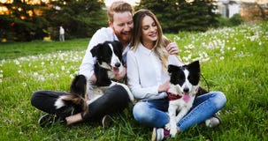 Couples romantiques chez les chiens de marche et le collage d'amour images stock Couples romantiques chez les chiens de marche et le collage d'amour images stock