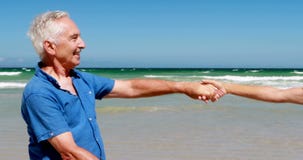 Couples supérieurs ayant la crème glacée à la plage banque de vidéos Couples supérieurs ayant la crème glacée à la plage banque de vidéos