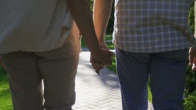 Couples supérieurs de plan rapproché tenant des mains pendant une promenade banque de vidéos Couples supérieurs de plan rapproché tenant des mains pendant une promenade banque de vidéos