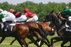 Course de chevaux Course de chevaux