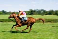 Course de chevaux sur la piste verte image stock Course de chevaux sur la piste verte image stock
