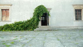 Courtyard with battered walls on which wooden Windows, growing large green Bush stock video Courtyard with battered walls on which wooden Windows, growing large green Bush stock video