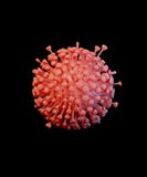 Covid -19 disease outbreak