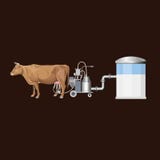 Cow and milking machine vector illustration Cow and milking machine vector illustration