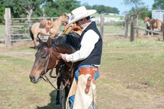 Cowboy And His Horse Stock Photography