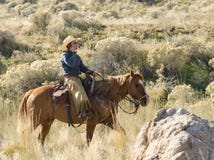 Cowboy moderno di giorno immagini stock libere da diritti Cowboy moderno di giorno immagini stock libere da diritti