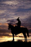 Cowboy op paard slingerende kabel stock afbeelding Cowboy op paard slingerende kabel stock afbeelding