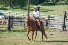 Cowboy Riding A Horse Royalty Free Stock Image