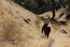 A cowboy riding on his horse down a canyon. Royalty Free Stock Photography A cowboy riding on his horse down a canyon. Royalty Free Stock Photography