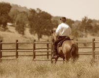 A cowboy riding his horse in a meadow. Royalty Free Stock Image A cowboy riding his horse in a meadow. Royalty Free Stock Image