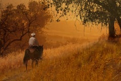 A cowboy riding a horse VIII. royalty free stock photo A cowboy riding a horse VIII. royalty free stock photo