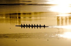 Coxed huit ramant au lever de soleil Coxed huit ramant au lever de soleil