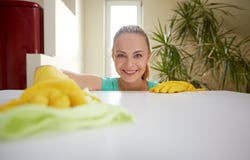 Cozinha feliz da tabela da limpeza da mulher em casa imagem de stock Cozinha feliz da tabela da limpeza da mulher em casa imagem de stock
