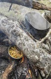 Cozinhando o alimento na estaca imagens de stock Cozinhando o alimento na estaca imagens de stock