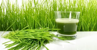 Сок Wheatgrass - здоровое питание стоковая фотография rf Сок Wheatgrass - здоровое питание стоковая фотография rf