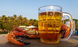 Crab with a huge claw and a mug of light beer