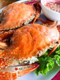 crabe brûlé photographie stock crabe brûlé photographie stock