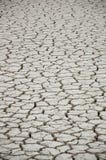 Cracked And Dry Earth In The Desert Stock Image