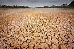 Cracked Earth Stock Image Cracked Earth Stock Image