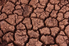Crackled Soil Royalty Free Stock Images