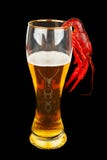 Crawfish And Beer Stock Photo Crawfish And Beer Stock Photo