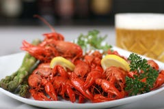 Crawfish and beer Royalty Free Stock Photos Crawfish and beer Royalty Free Stock Photos
