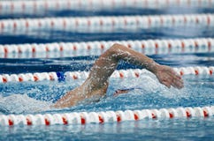 Free Crawl Swimmer Royalty Free Stock Photo - 43160845