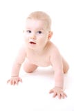 Crawling Baby Royalty Free Stock Images Crawling Baby Royalty Free Stock Images