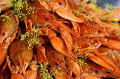Crayfish cooked with dill