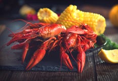 Crayfish. Creole Style Crawfish With Corn And Potato Stock Images Crayfish. Creole Style Crawfish With Corn And Potato Stock Images