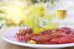 Crayfish party Royalty Free Stock Images Crayfish party Royalty Free Stock Images