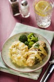 Creamy italian chicken royalty free stock photos Creamy italian chicken royalty free stock photos
